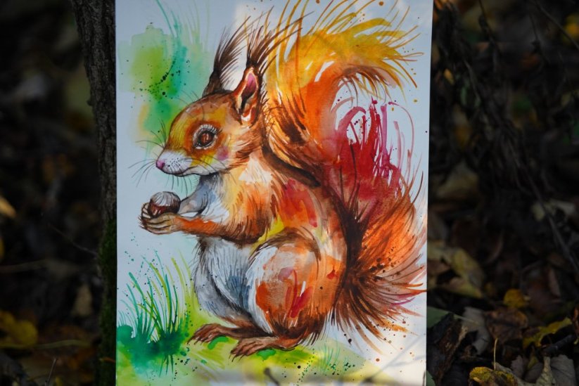 ILUSTRACE VEVERKA
