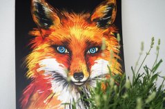 ILUSTRACE LIŠKA