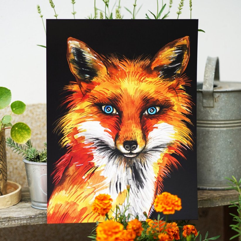 ILUSTRACE LIŠKA