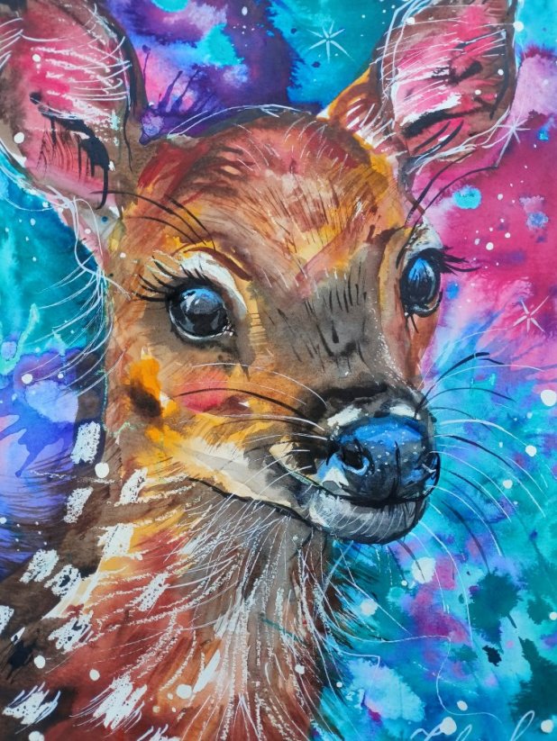 AKVAREL ORIGINÁL SRNKA