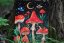 ILUSTRACE HOUBY