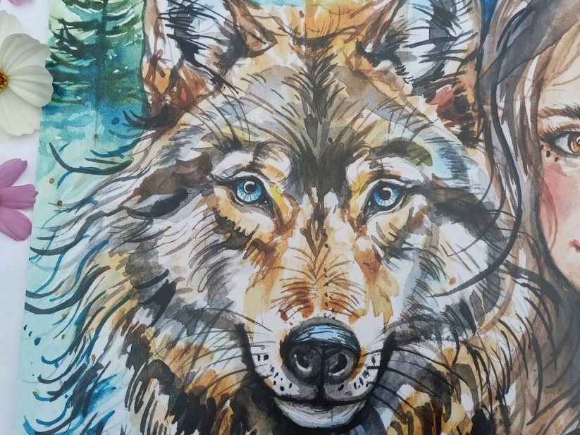 ILUSTRACE DÍVKA A VLK