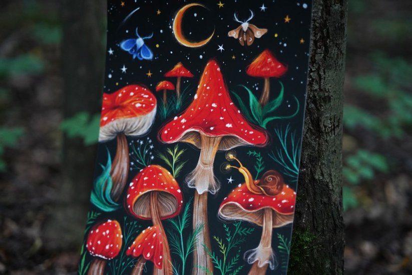 ILUSTRACE HOUBY