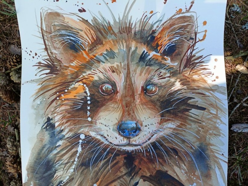 ILUSTRACE ORIGINÁL MÝVAL