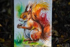 ILUSTRACE VEVERKA