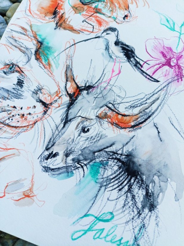 ILUSTRACE ORIGINÁL ZOO
