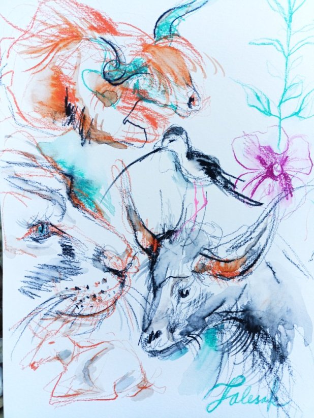 ILUSTRACE ORIGINÁL ZOO