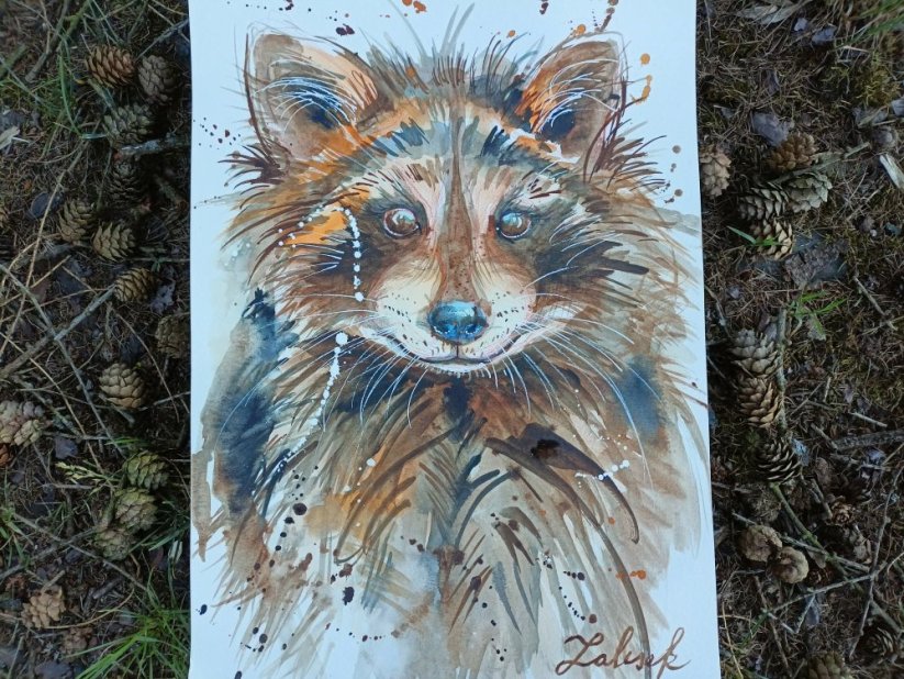 ILUSTRACE ORIGINÁL MÝVAL