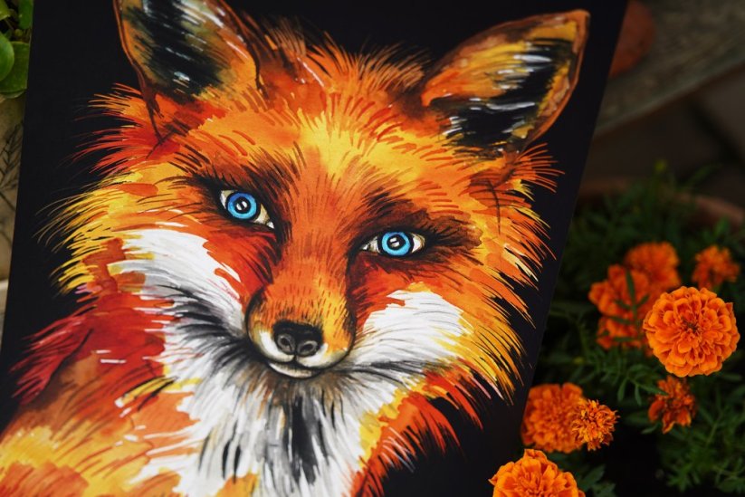 ILUSTRACE LIŠKA