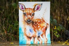 ILUSTRACE SRNEČEK